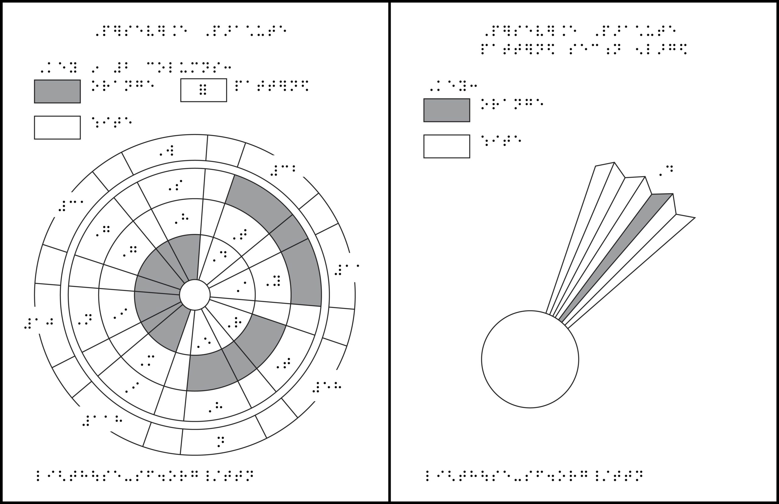 2 tactile graphics: Mars Perseverance Parachute with braille labels and detail section.