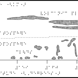 Chart with braille labels. X- and y-axis labeling Altitude and Longitude, a horizontal line across the middle with volcanic plume in stratosphere above, and clouds in troposphere below.
