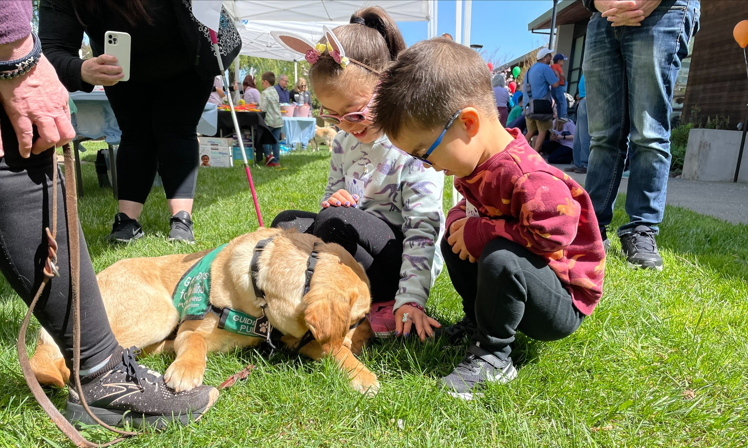 Two Little Learners kneel on the grass next to a yellow lab service dog who is off-harness