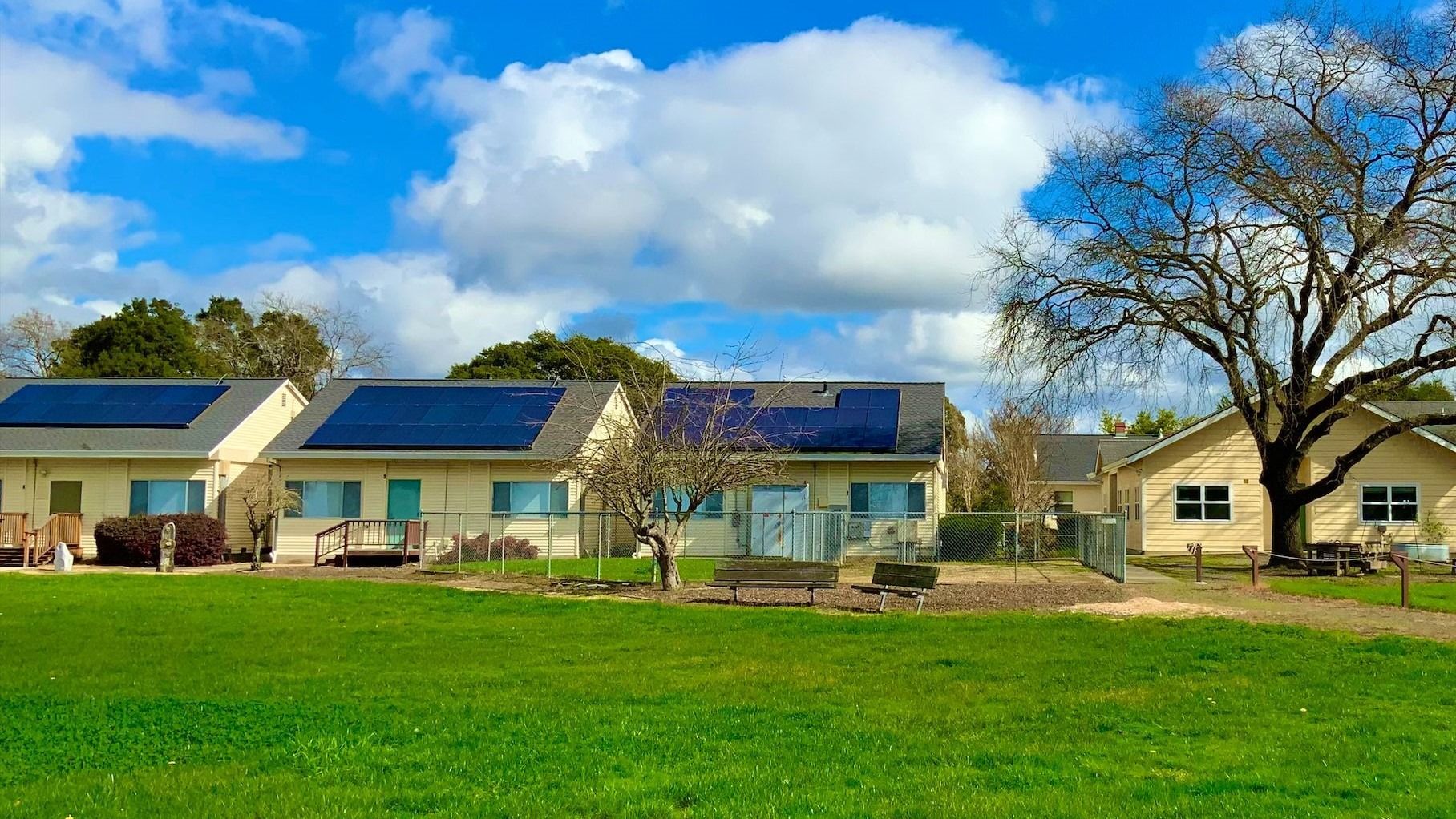 EBC Campus - Four class-room sized yellow buildings surrounded by grass, greenery, and trees