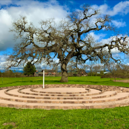 EBC Labyrinth An image of the spiral-like designed Labyrinth on the EBC campus, a large oak tree can be seen in a green meadow just beyond the Labyrinth