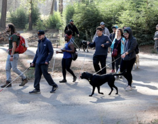 A group of campers, some with their guide dogs and some with white canes, hike at Enchanted Hills Camp.