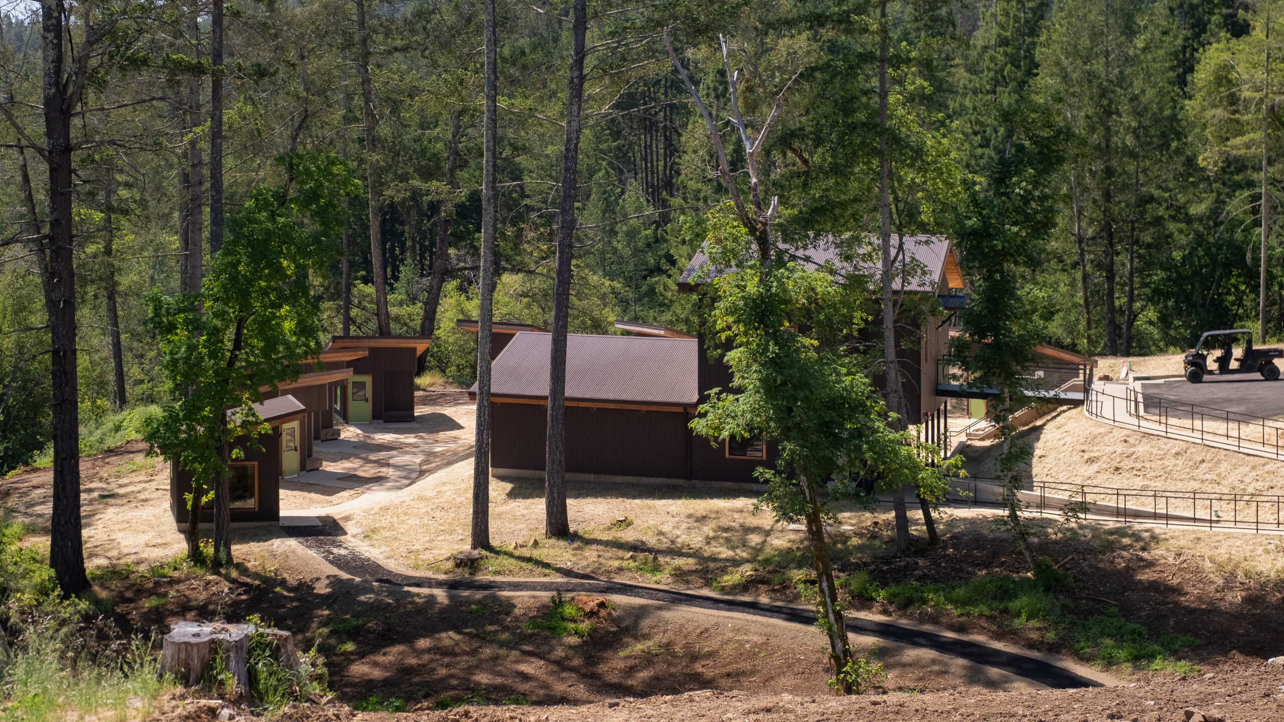 Seen from slightly above, cabins at EHC surrounded by redwood trees
