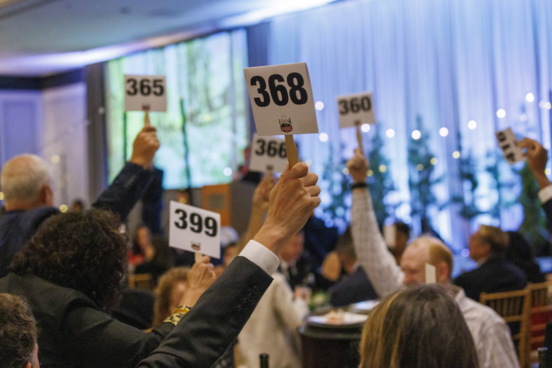 Gala 23 Paddles A view of hands raising numbered paddles during the live auction