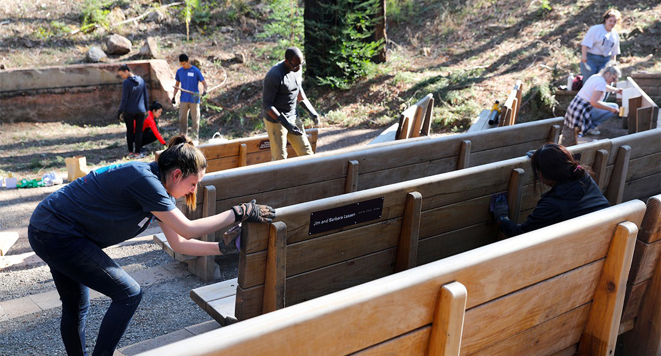 Volunteers-and-benches Volunteers sand the Redwood Grove benches at EHC in preparation for treating the wood.